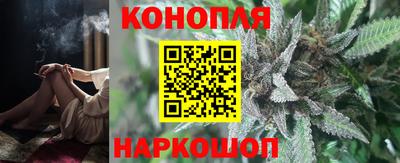 ГАЛЛЮЦИНОГЕННЫЕ ГРИБЫ Отрадный
