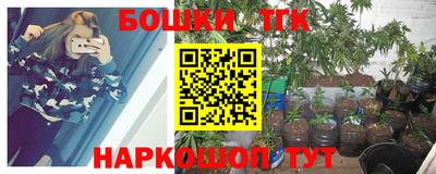 ГАЛЛЮЦИНОГЕННЫЕ ГРИБЫ Отрадный