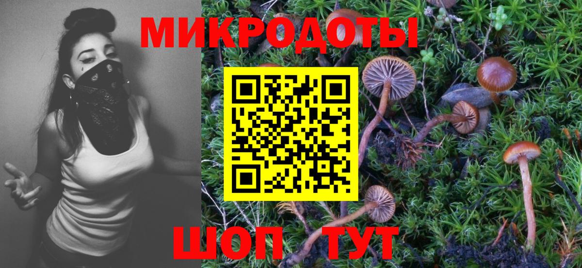 Псилоцибиновые грибы MAGIC MUSHROOMS Артём